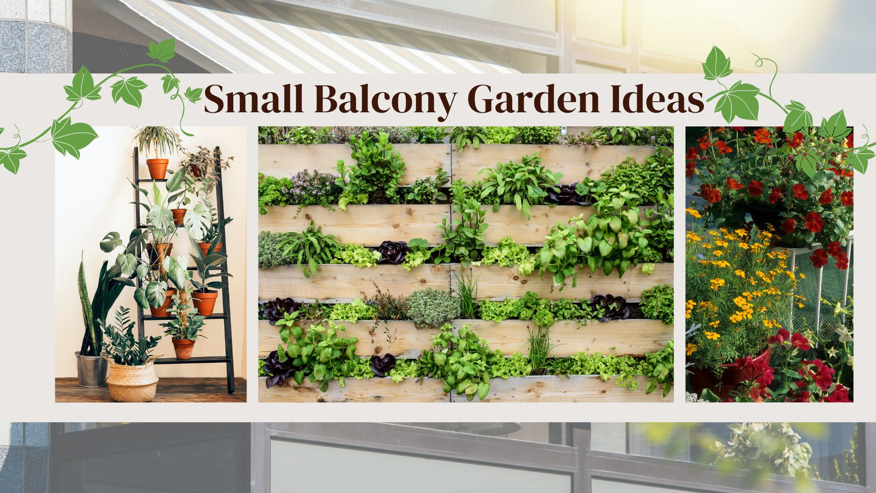 Ideas for a Small Balcony Garden in a city apartment