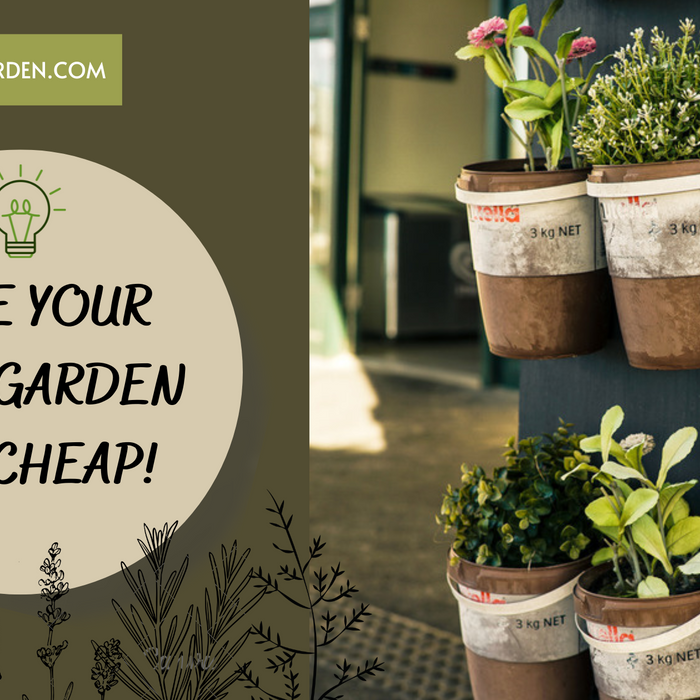 Make Your Own Vertical Herb Garden For Cheap!