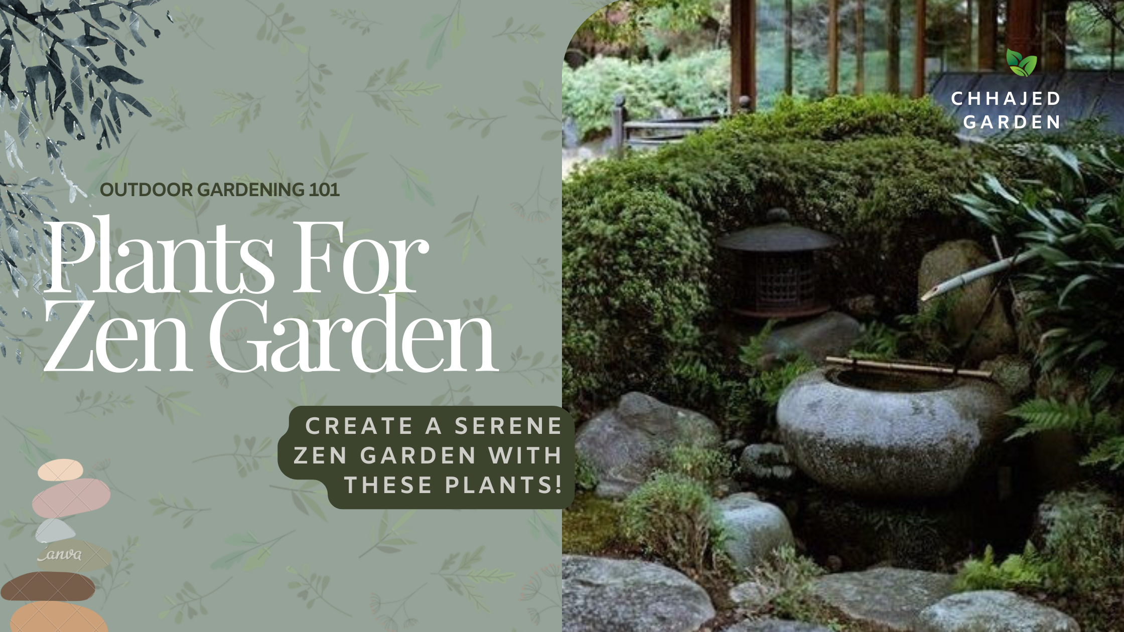 The Best Plants for a Zen Garden: Creating a Relaxing Outdoor Space –