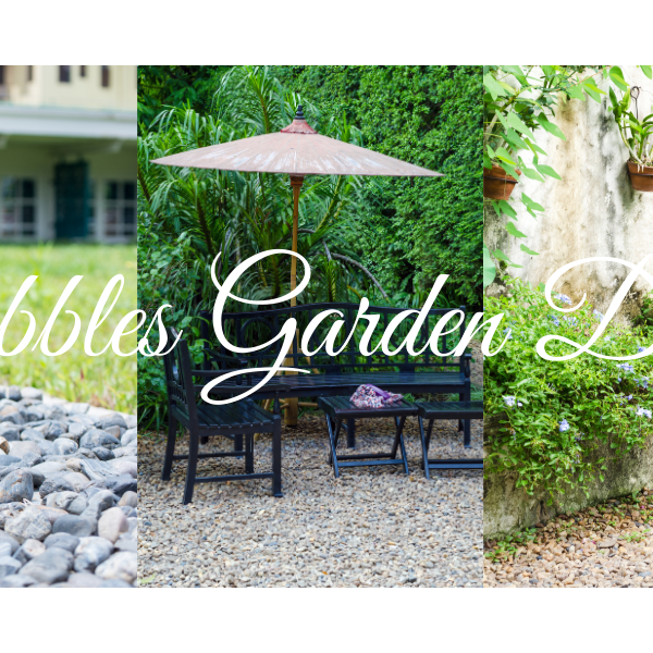 Pebbles For Decorating Your Garden - CGASPL