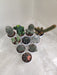 Decorative Array of Assorted Cacti