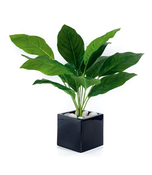 Real Touch 12 Green Calla  Lily Plant