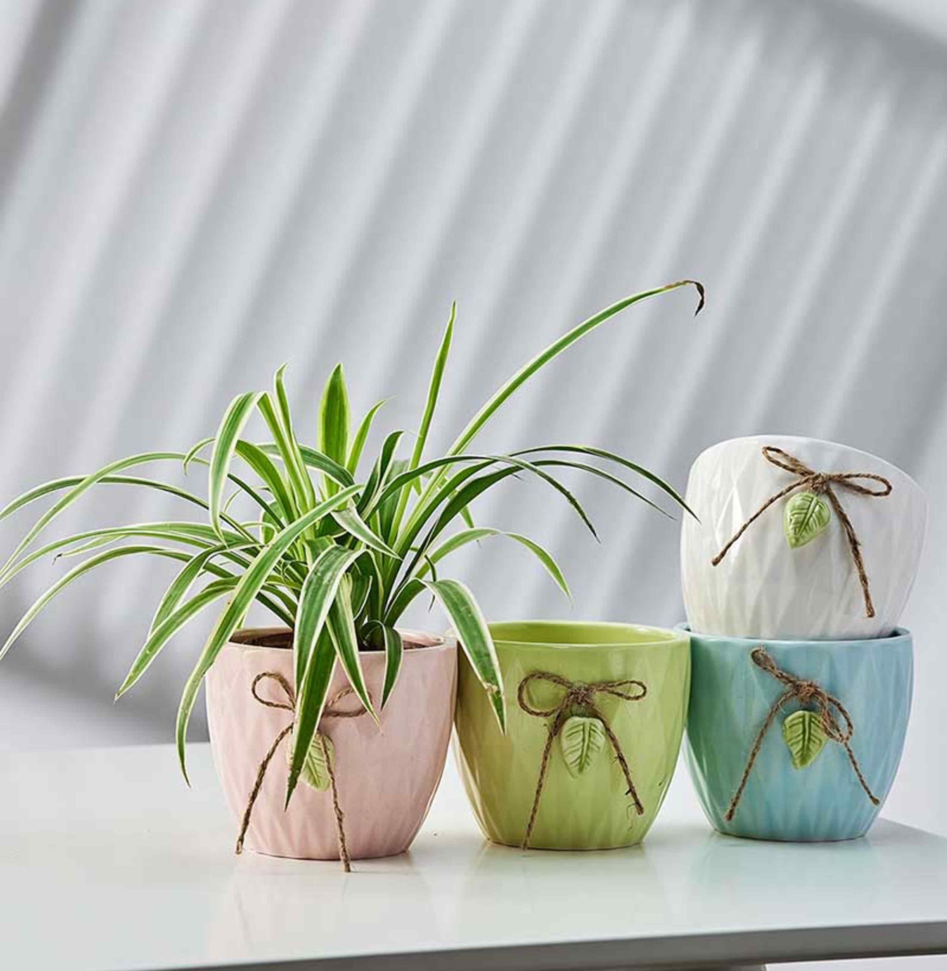 ceramic flower planter Pastel Leaf Charm Ceramic Flower Pots