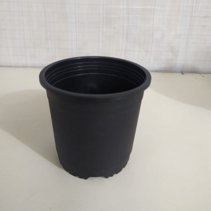 6" Flower Pot Black Colour Sunrise Series (14.5 cm) ( Pack of 12)