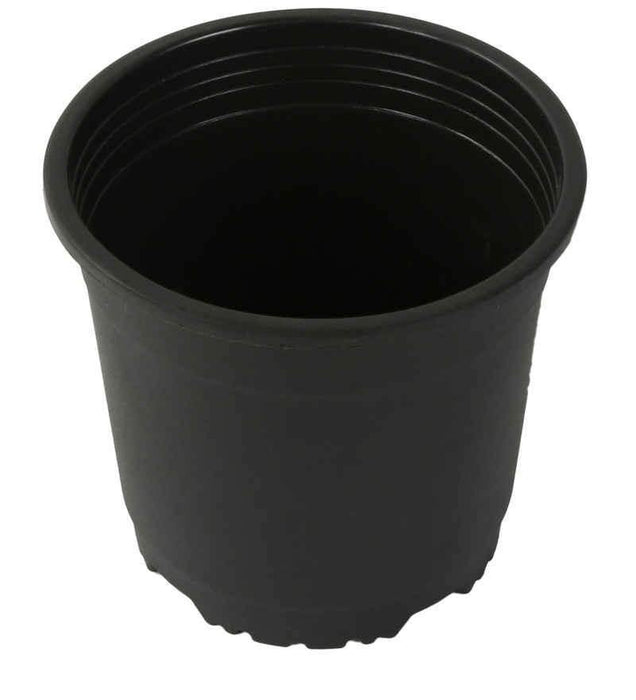 6" Flower Pot  Black Colour Sunrise Series (14.5 cm) - CGASPL