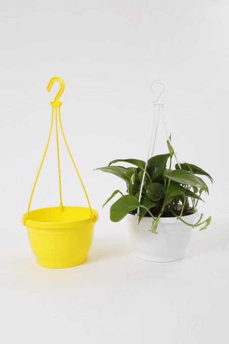 8 Inch Hanging Pot Yellow (Pack of 6) - CGASPL