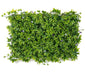 Artificial Vertical Garden  3758-H for Indoors only 60 cm*40 cm  (Pack of 28 Tiles  - Area covered  72.8 Sq. ft ) - CGASPL