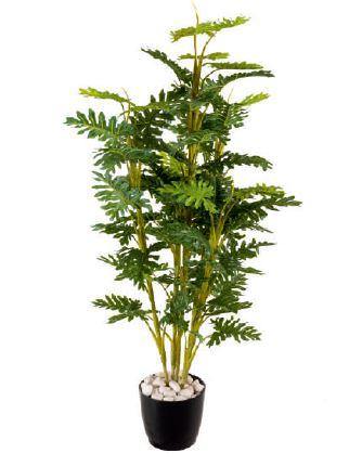 buy plants without pots Artificial 5 Real Touch Split Philo Plant (Without Pot) , Height -4.5 –  ChhajedGarden.com