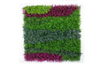3800-F Artificial Vertical Garden Indoor & Outdoor 1 mtr* 1 mtr  (Pack of 3 Tiles, Area covered-  32.28 Sq. ft ) - CGASPL