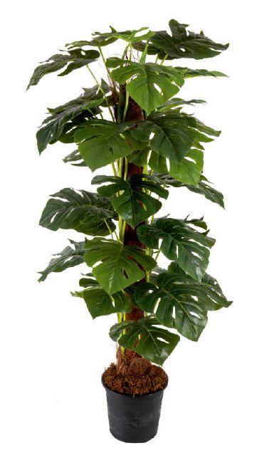 Artificial Medium Moss Stick Plant ( Without Pot ) , Height -4.5