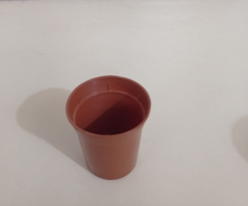 2" Sunrise Pot Terracotta (5.5 cm)