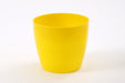 5 Inch Yellow Singapore Pot (Pack of 12)