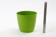 8.5 Inch Green Singapore Pot (Pack of 12) - CGASPL