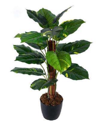 buy plants without pots Artificial Philo in Moss Stick Plant ( Without Pot ) , Height -3.5 ft – ChhajedGarden.com