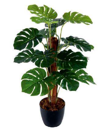 Artificial Split Philo in Moss Stick Plant ( Without Pot ) , Height -3.5 ft ( Pack of 2 Plants ) - CGASPL