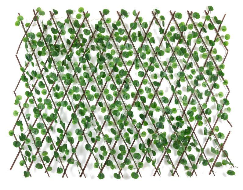 Artificial Big Leaf Money Plant & Lotus Wooden Fence Size-3.5 ft x 4.2 –  ChhajedGarden.com