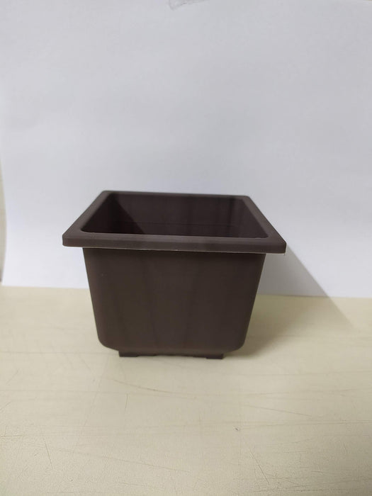 Bonzi Square Pot - 10 cm(Brown)