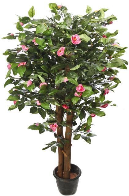 Buy Artificial Camellia Plant N.S Plant Online in India  ChhajedGarden.com