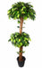 Artificial Green Ficus Double Topiary Plant in Coffee wood-2 X 1 -5 feet - CGASPL