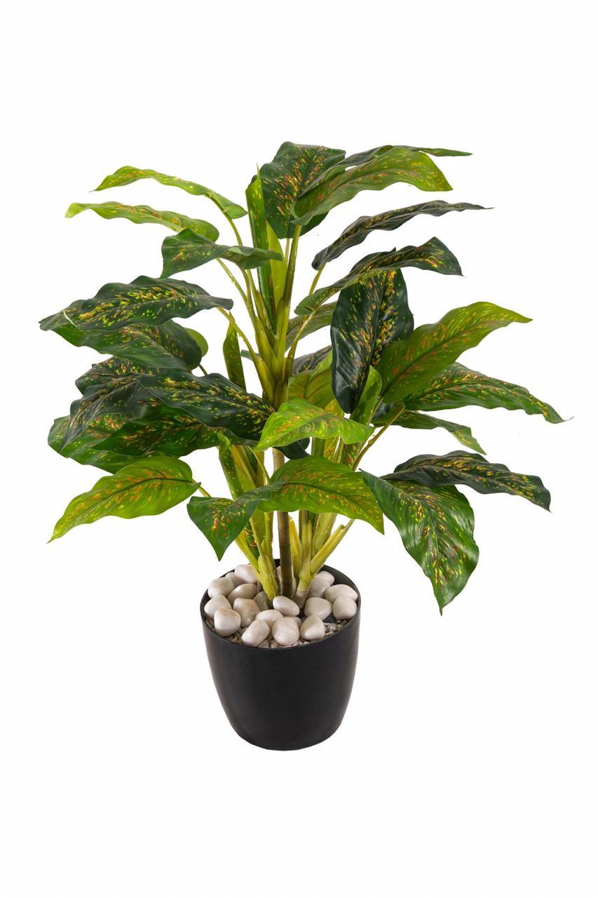 aglaonema artificiel Artificial 5 Real Touch Aglaonema Plant (Without Pot) , Height -3.5 ft – ChhajedGarden.com