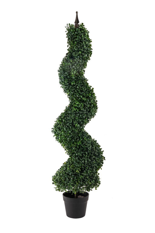 Artificial Spiral Boxwood Plant With Crown in Pot, Height - 4 ft (Pack of 2 Plants) - CGASPL