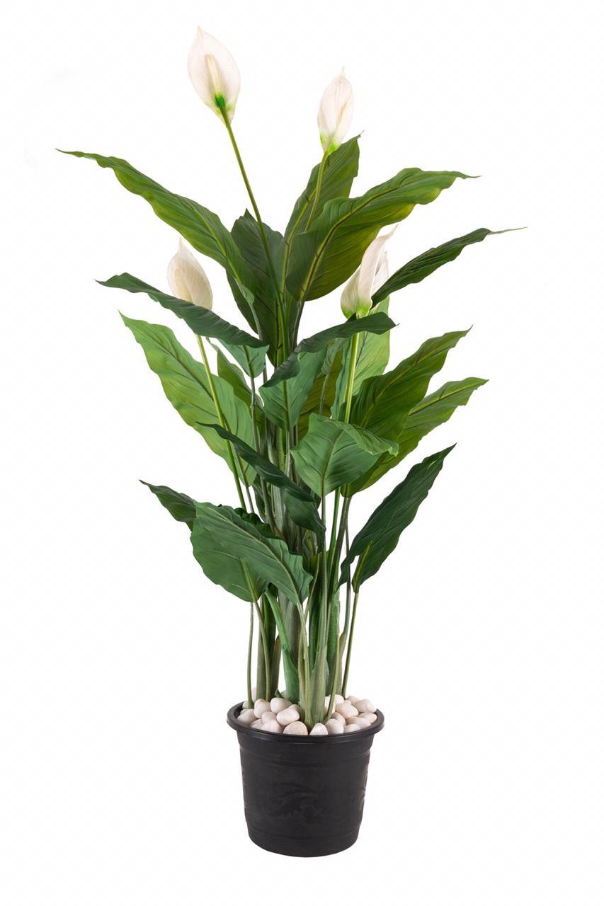 artificial peace lily plants Artificial Real Touch Spathiphyllum Plant ( Without Pot ) , Height -5 ft
