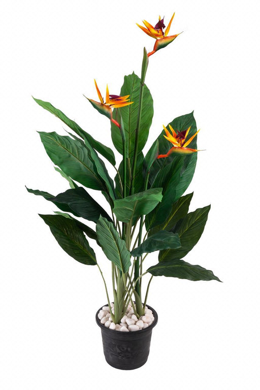 Artificial Real Touch Birds of Paradise Plant( Without Pot ) , Height -5 ft - CGASPL
