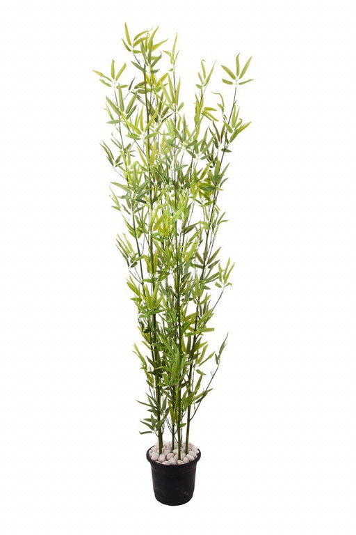 10 Bamboo With Nature Touch Leaf 3742 A - CGASPL