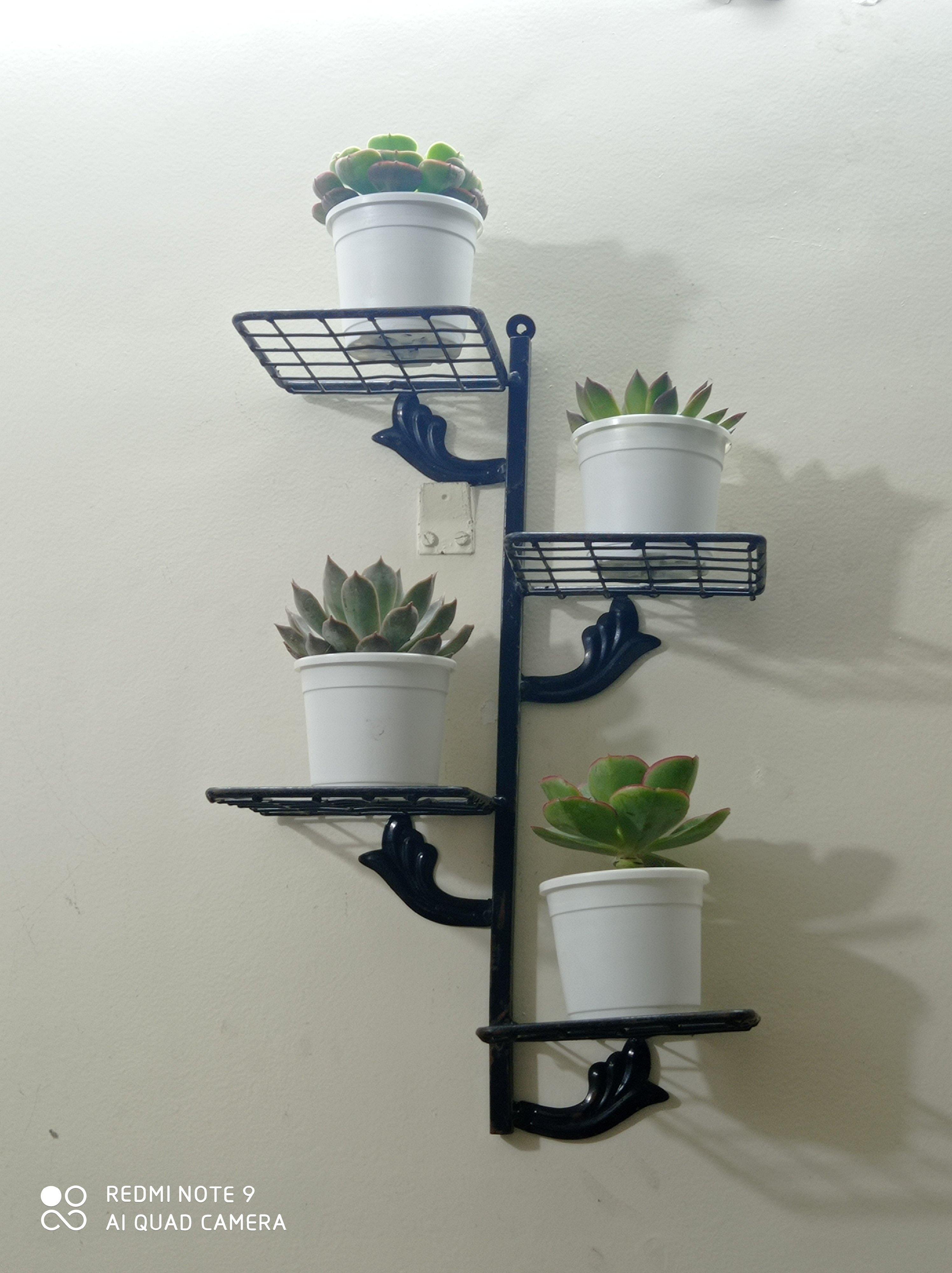 indoor plant stand india 4 Pot Wall Stand