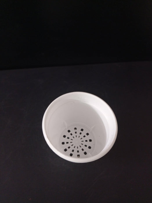 Diamond Plastic Pots 7 cm (White, Pack of 12) - CGASPL