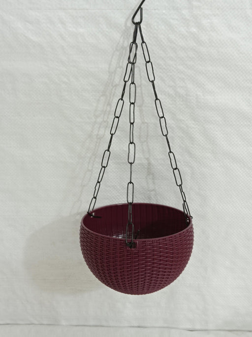 Small Hanging Planters | 16 cm Hanging Basket | Chhajed Garden