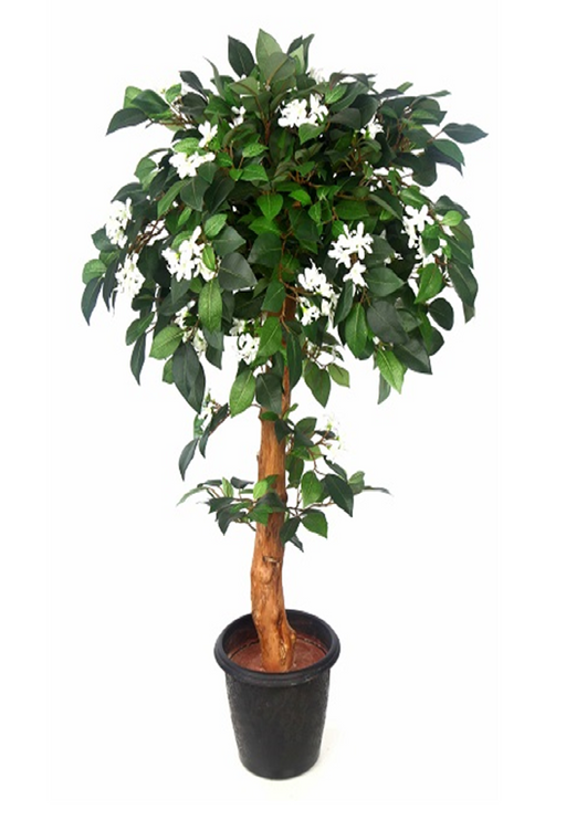 Artificial Jasmine Plant Topiary Natural Coffee wood Stick - 4 Feet - CGASPL