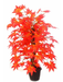 Artificial Maple Plant N.Stick Red - 2 feet - CGASPL