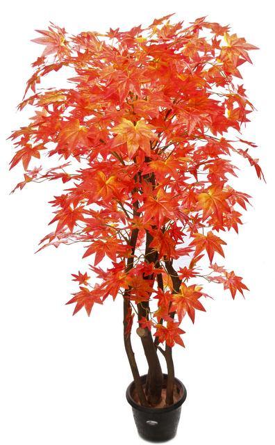 Artificial Maple Red Plant with Natural Stick - 5 feet - CGASPL
