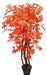 Artificial Maple Plant Red with Natural Stick - 6 feet - CGASPL