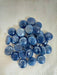 Onex Blue Round Pebbles, 900 GM - ChhajedGarden.com