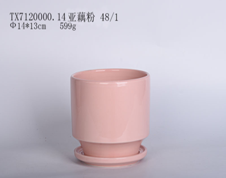Stylish Pink Pot with Plate-Bottom Tray