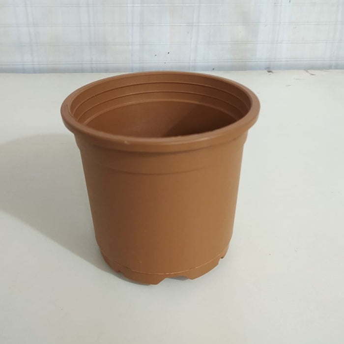 4.5" Flower Pot Terracotta Color Sunrise Series (11 cm)