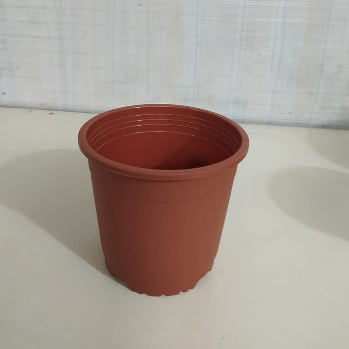 6" Flower Pot Terracotta Colour Sunrise Series (14.5 cm) ( Pack of 12)