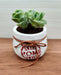 Grey Ceramic Pot - High-Quality Material for Plant Display