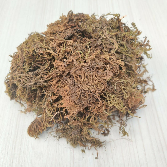 2 Kg Sphagnum Moss -Growing Medium for Plants