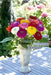 Zinnia Double Benary's Giant Mix Flower Seeds - ChhajedGarden.com