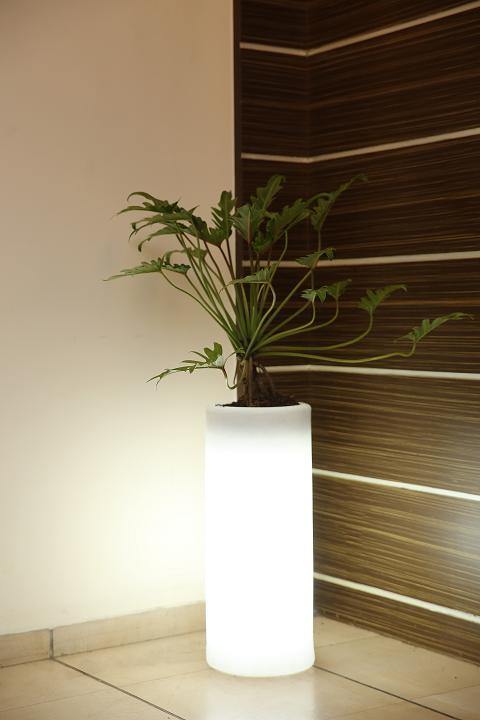 Illuminated Planter 9151 - CGASPL
