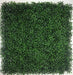 CAPPL-008 Artificial Green Vertical Garden Tiles for Outdoor and Indooor Use ( 50cm X 50cm , Pack of 3 Tiles ) - CGASPL
