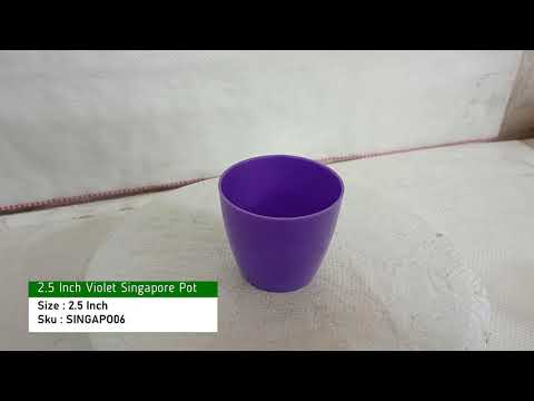Purple Pots for Plants | 2.5 Inch Violet Pot | Chhajed Garden