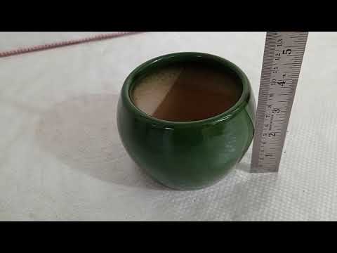 ceramic plant pot for home decor