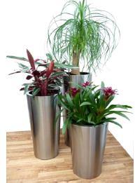 Stainles Steel SS Conical Planter
