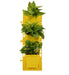 Vertical Garden, Wall Garden Panel Yellow (1 Frame + 3 Pots)