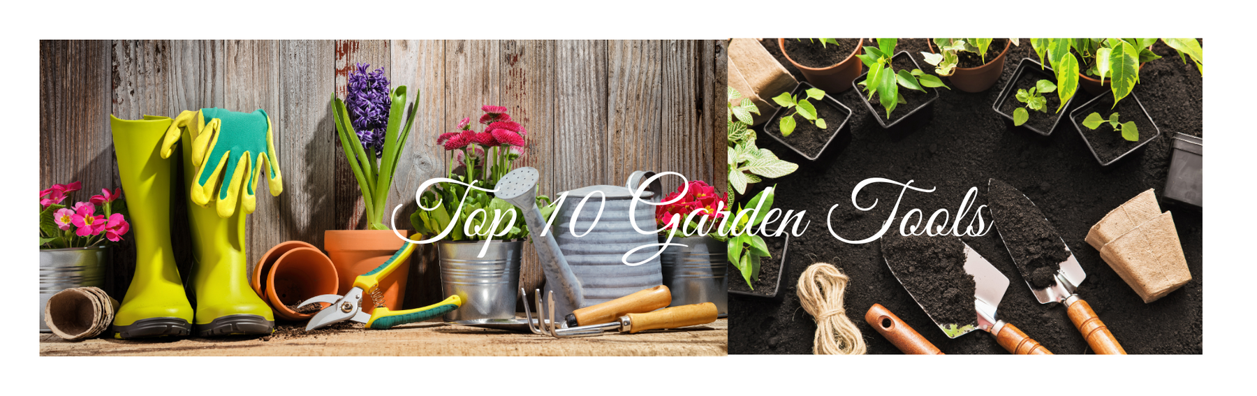 Top 10 Garden Tools - CGASPL