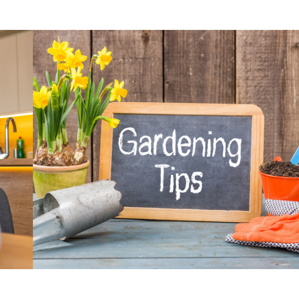 20 Amazing Gardening Tips and Tricks - CGASPL